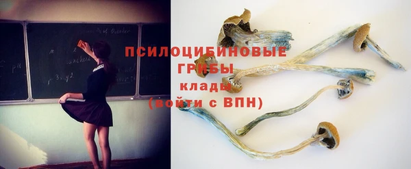 соль курить ск Медногорск