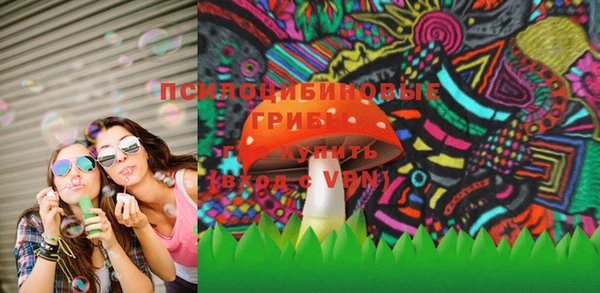 индика Магадан